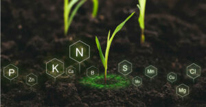 mineral-fertilizer