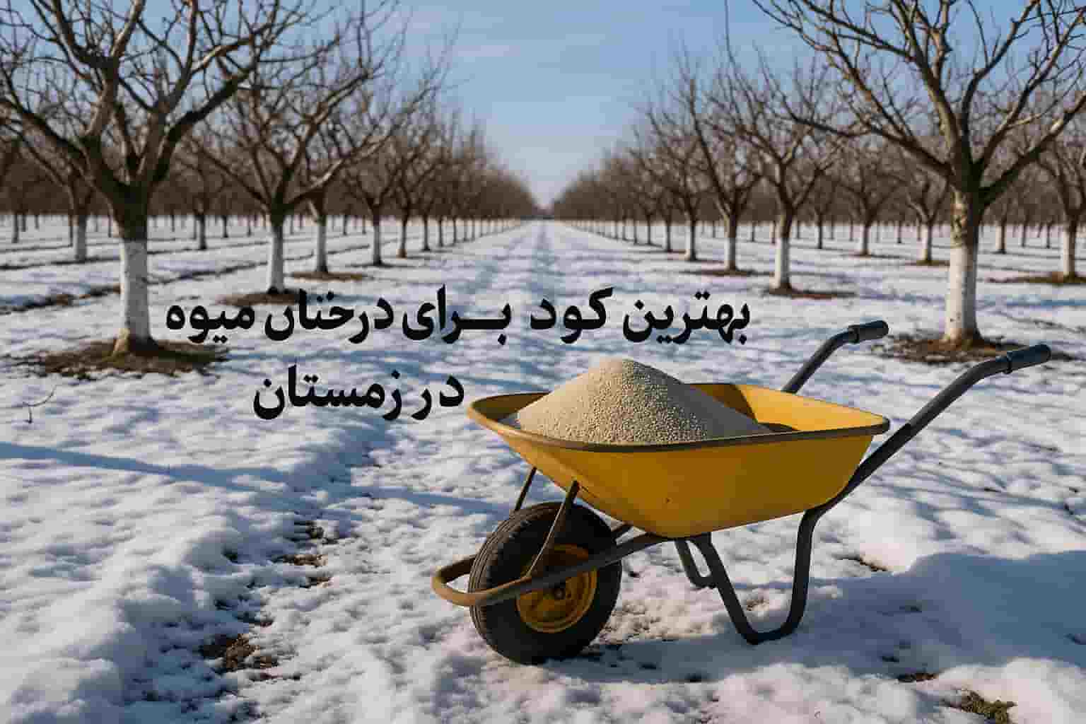بهترین کود برای درختان میوه در زمستان