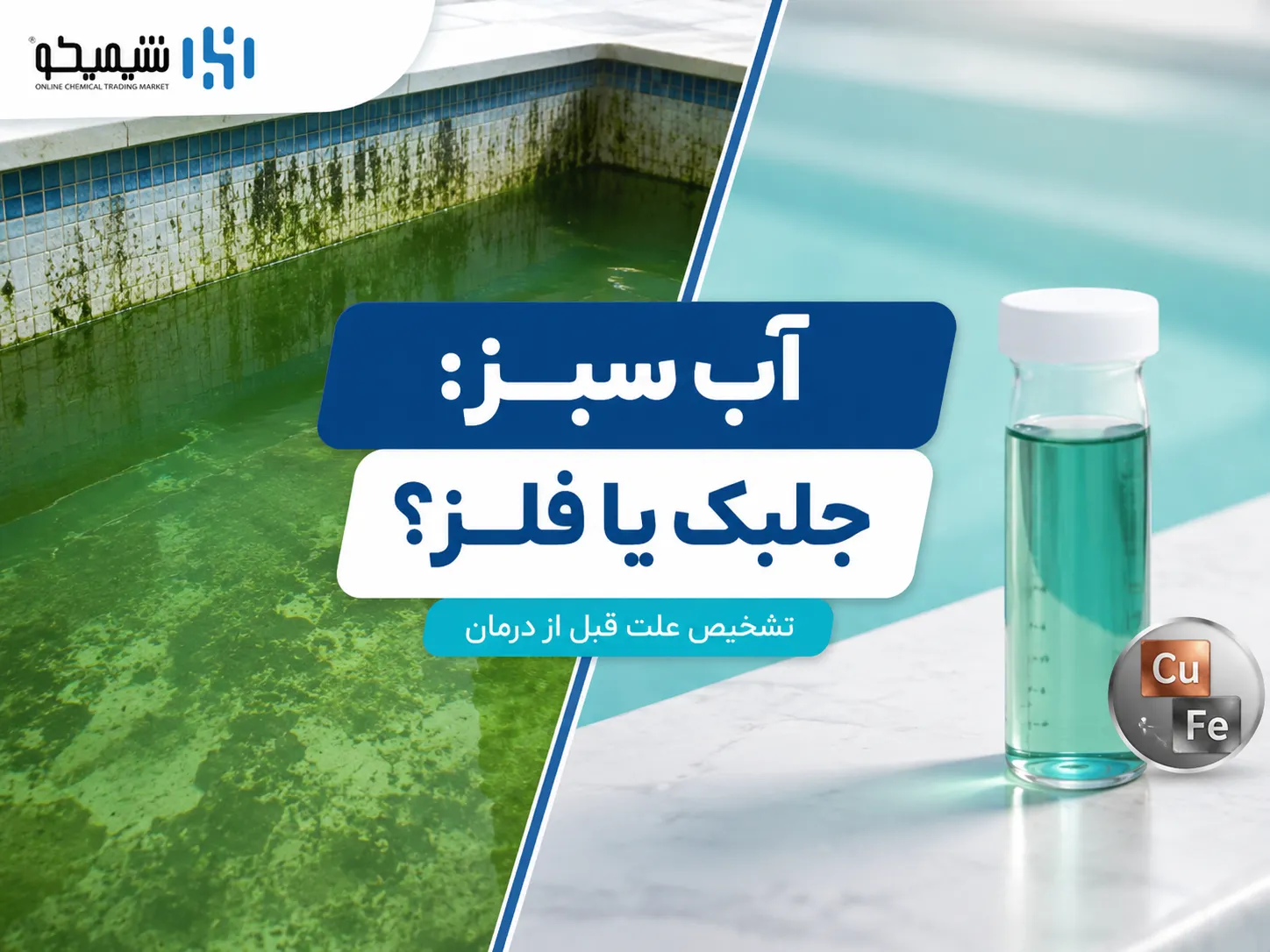 سبز شدن آب استخر همیشه از جلبک است یا فلزات هم آب را سبز می کنند؟
