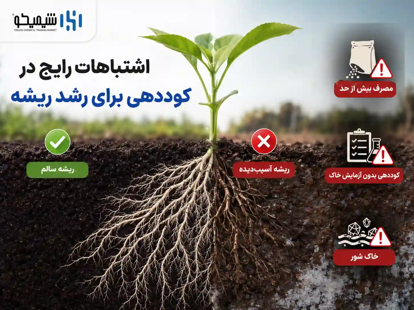 تشخیص مشکل ریشه پیش از خرید بهترین کود ریشه زا