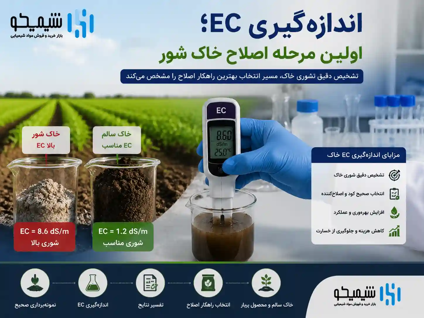 آیا اصلاح خاک شور بدون آزمایش خاک امکان پذیر است؟