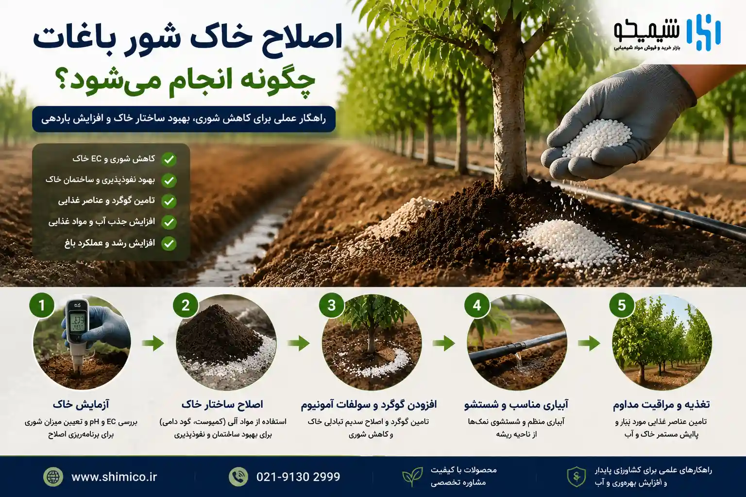 اصلاح خاک شور باغات چگونه انجام می شود؟
