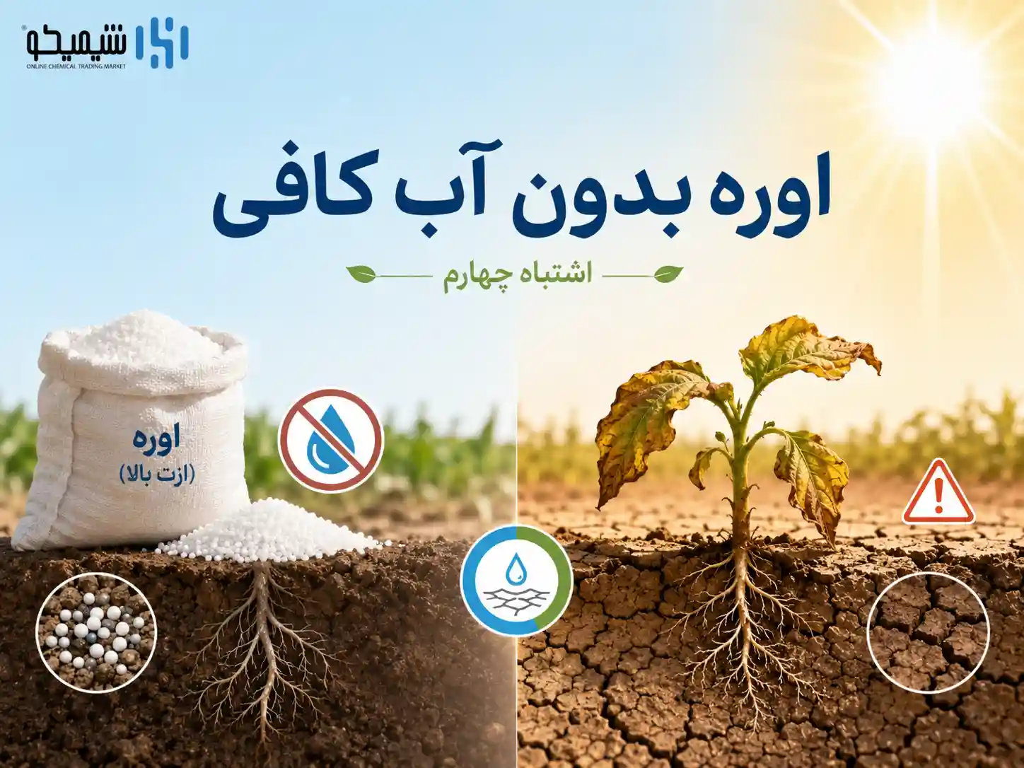 اشتباه چهارم مصرف کود اوره و نیتروژن بالا در گرمای شدید بدون مدیریت آب