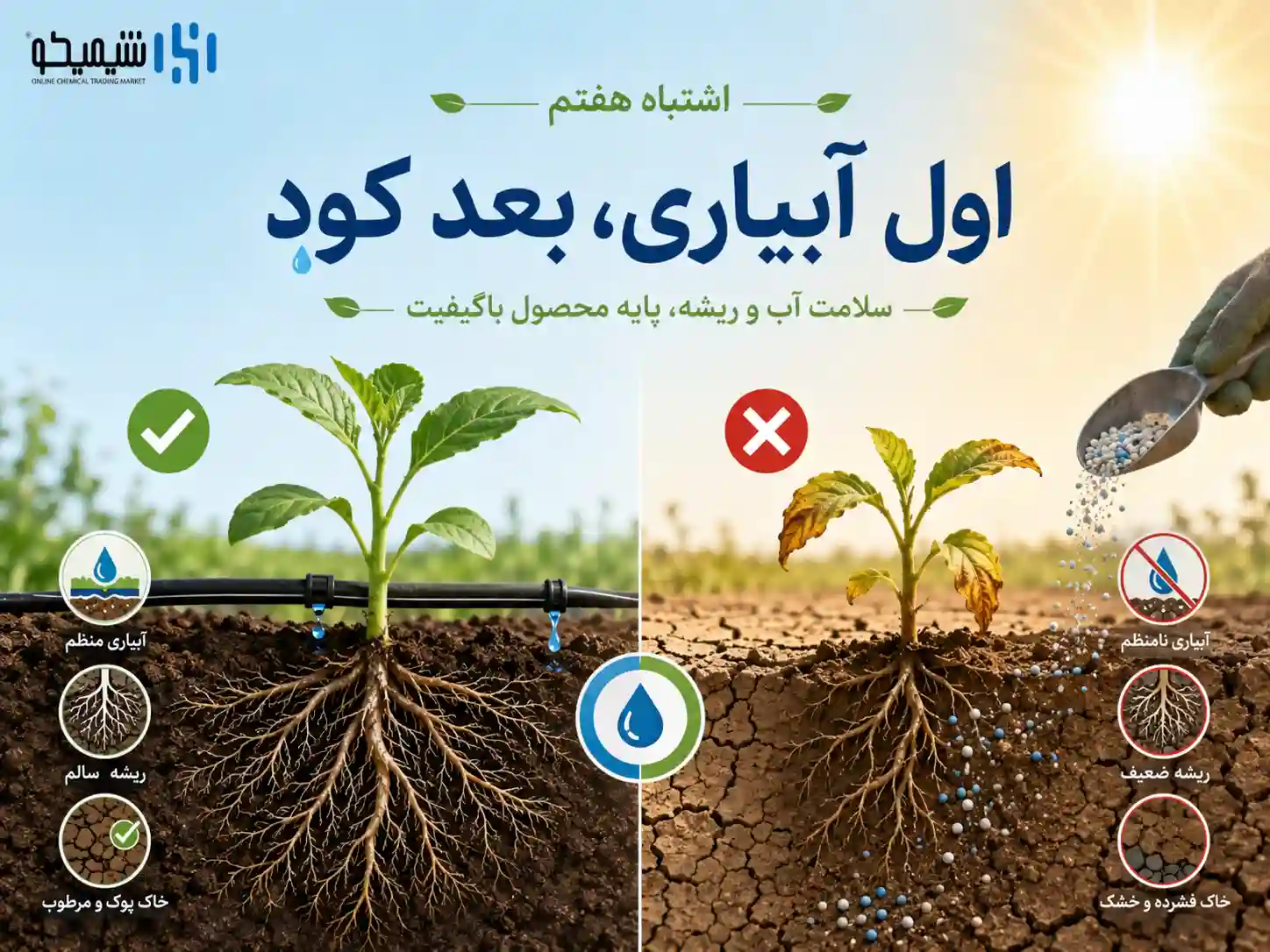 اشتباه هفتم کوددهی در گرمای شدید به جای اصلاح آبیاری و محیط ریشه
