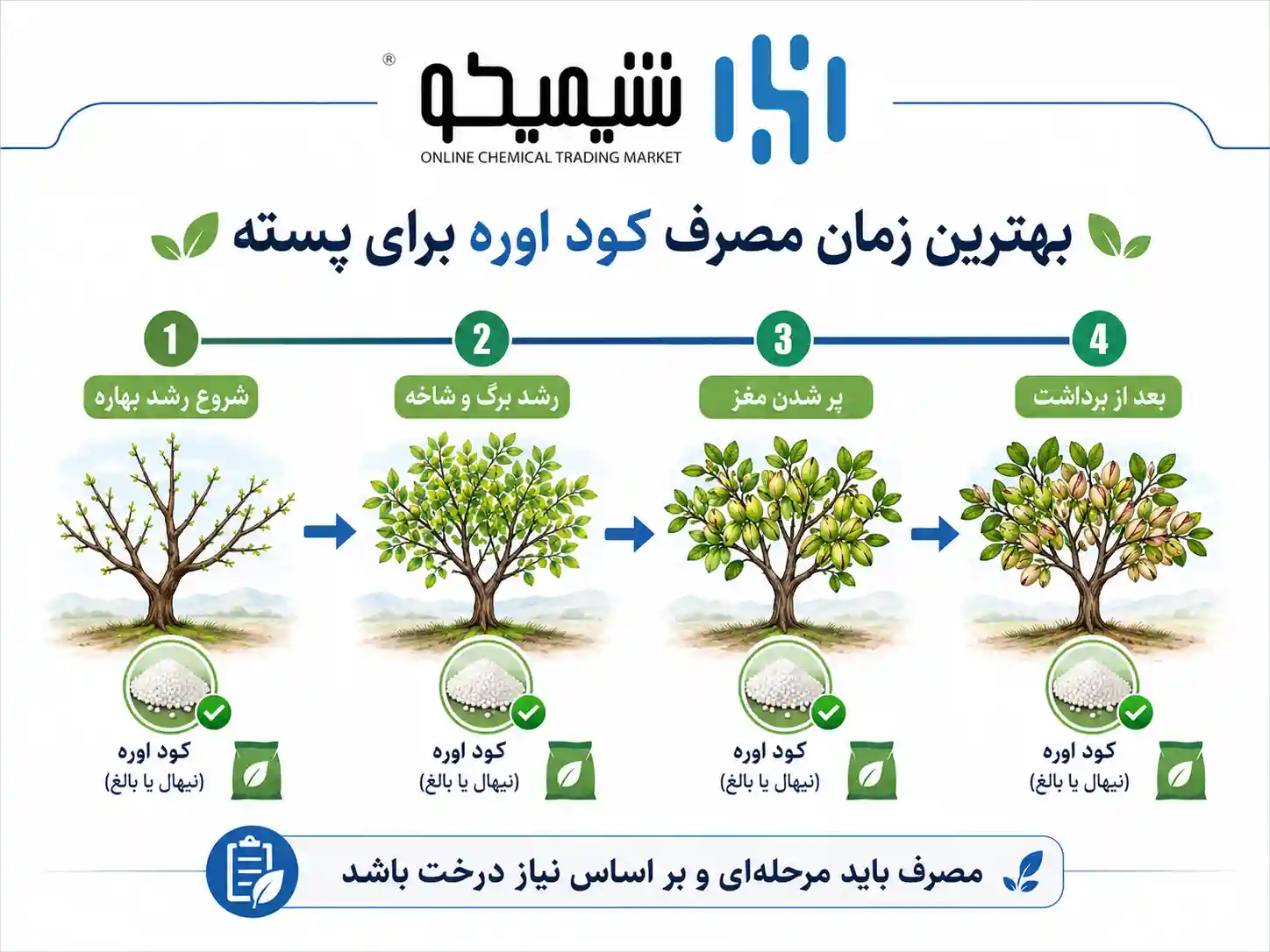 بهترین زمان مصرف کود اوره برای پسته در طول فصل