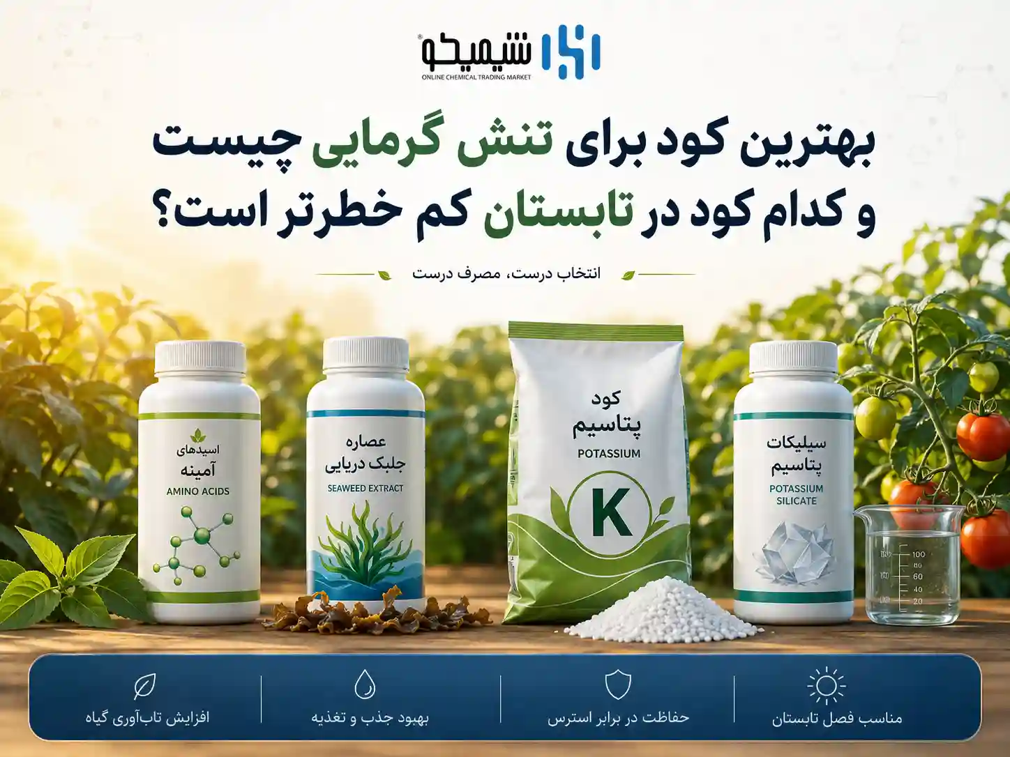 بهترین کود برای تنش گرمایی چیست و کدام کود در تابستان کم خطرتر است؟