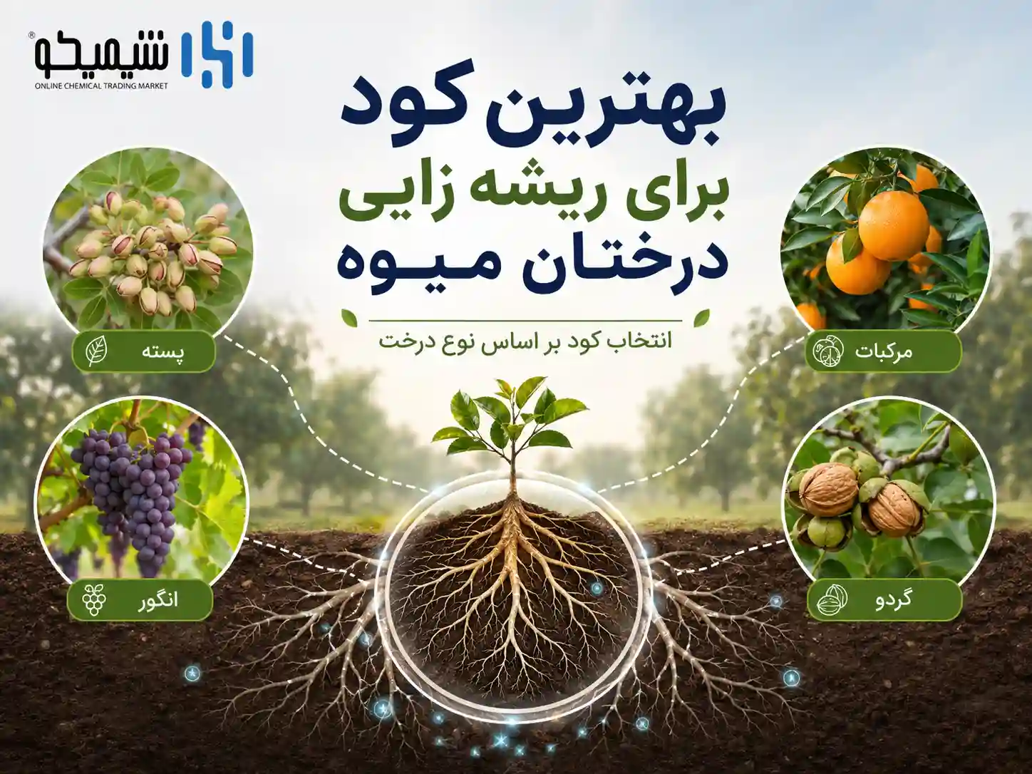 بهترین کود برای ریشه زایی درختان میوه مختلف