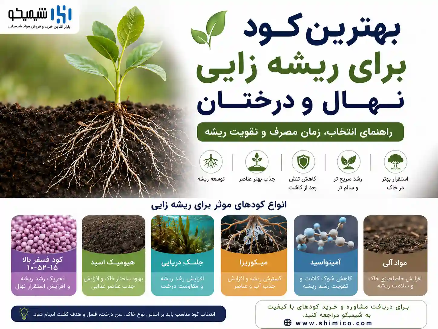 بهترین عناصر غذایی در کود برای ریشه زایی نهال و درختان