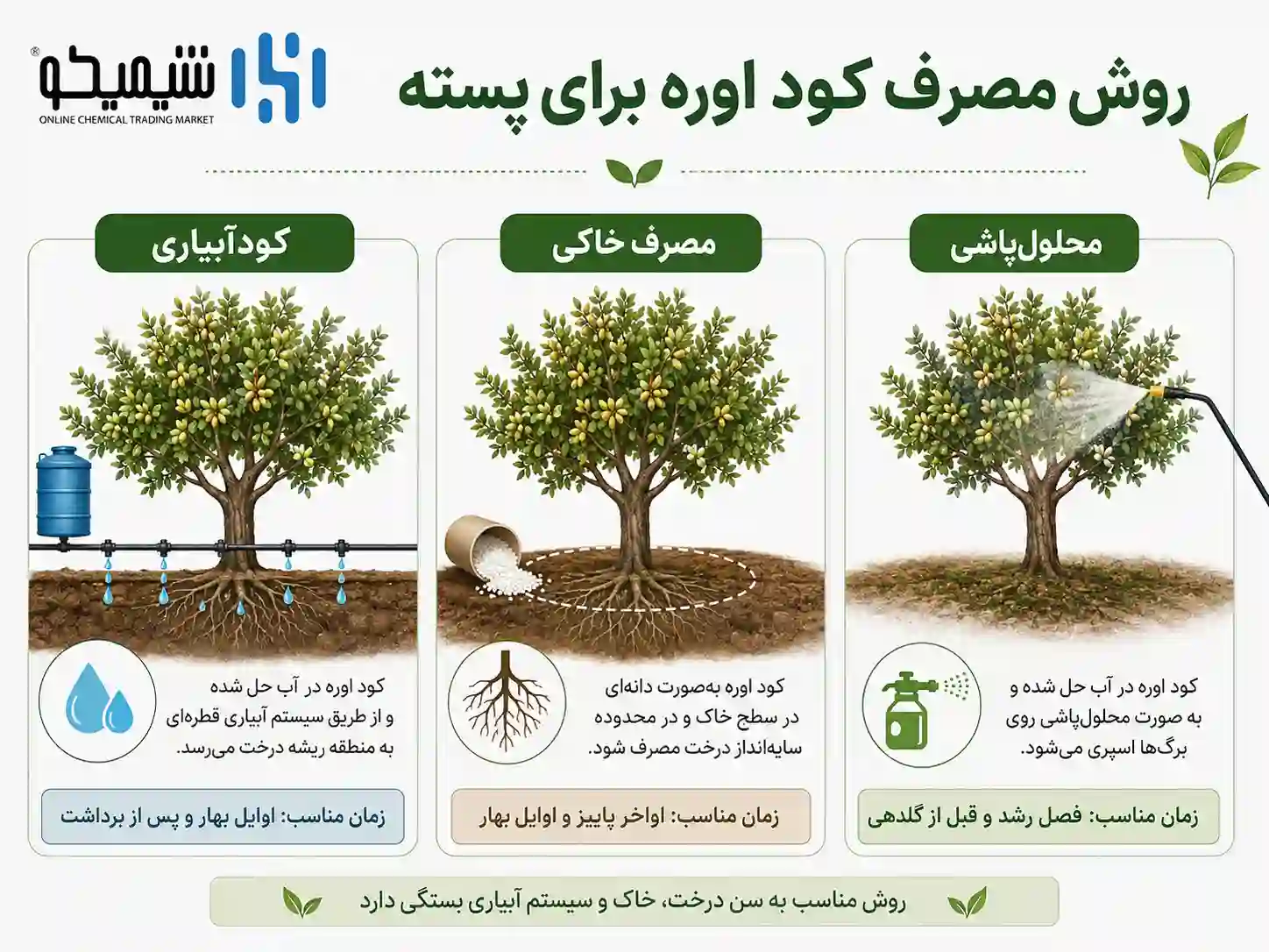روش مصرف کود اوره برای پسته؛ کودآبیاری، خاکی و محلول پاشی