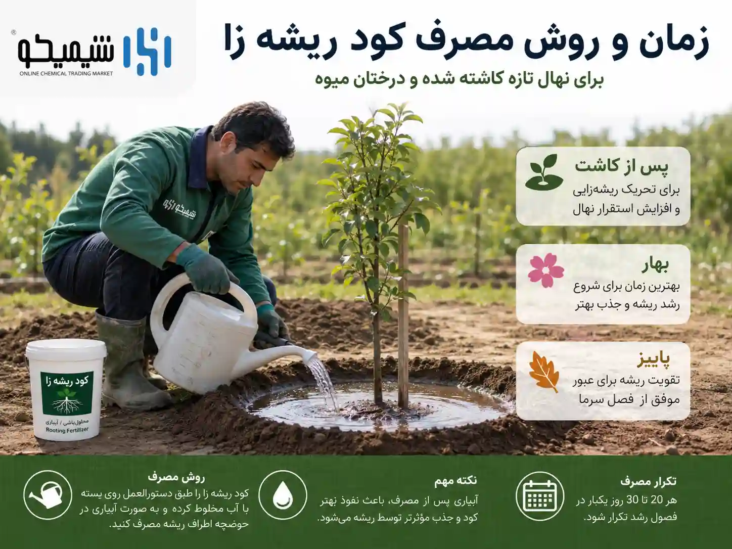 بهترین روش مصرف کود ریشه زا برای نهال و درختان