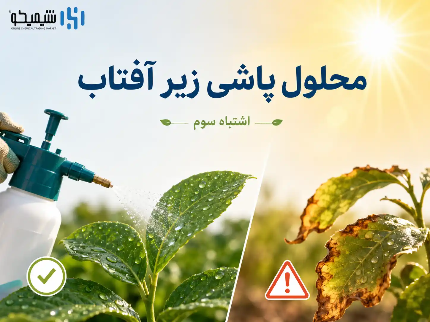 اشتباه سوم محلول پاشی در گرمای شدید و زیر آفتاب مستقیم