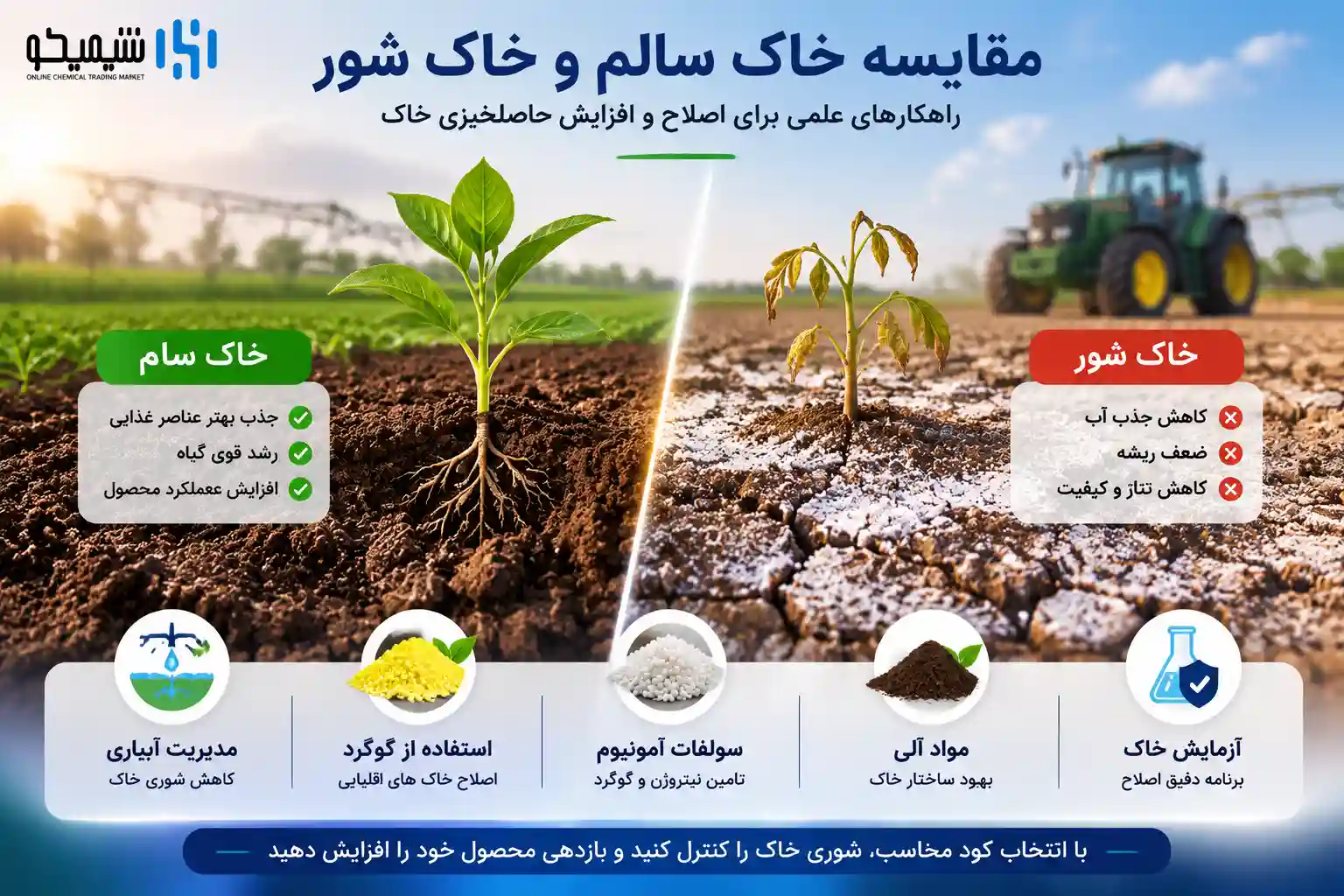 علت شور شدن خاک کشاورزی چیست؟