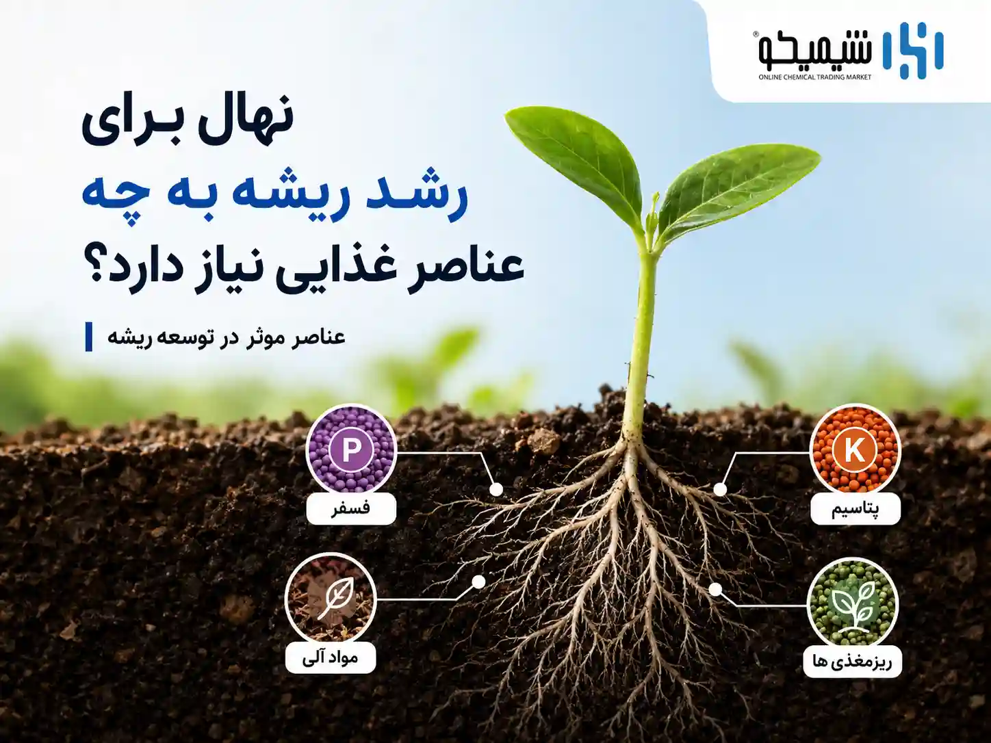 نهال برای رشد ریشه به چه عناصر غذایی نیاز دارد