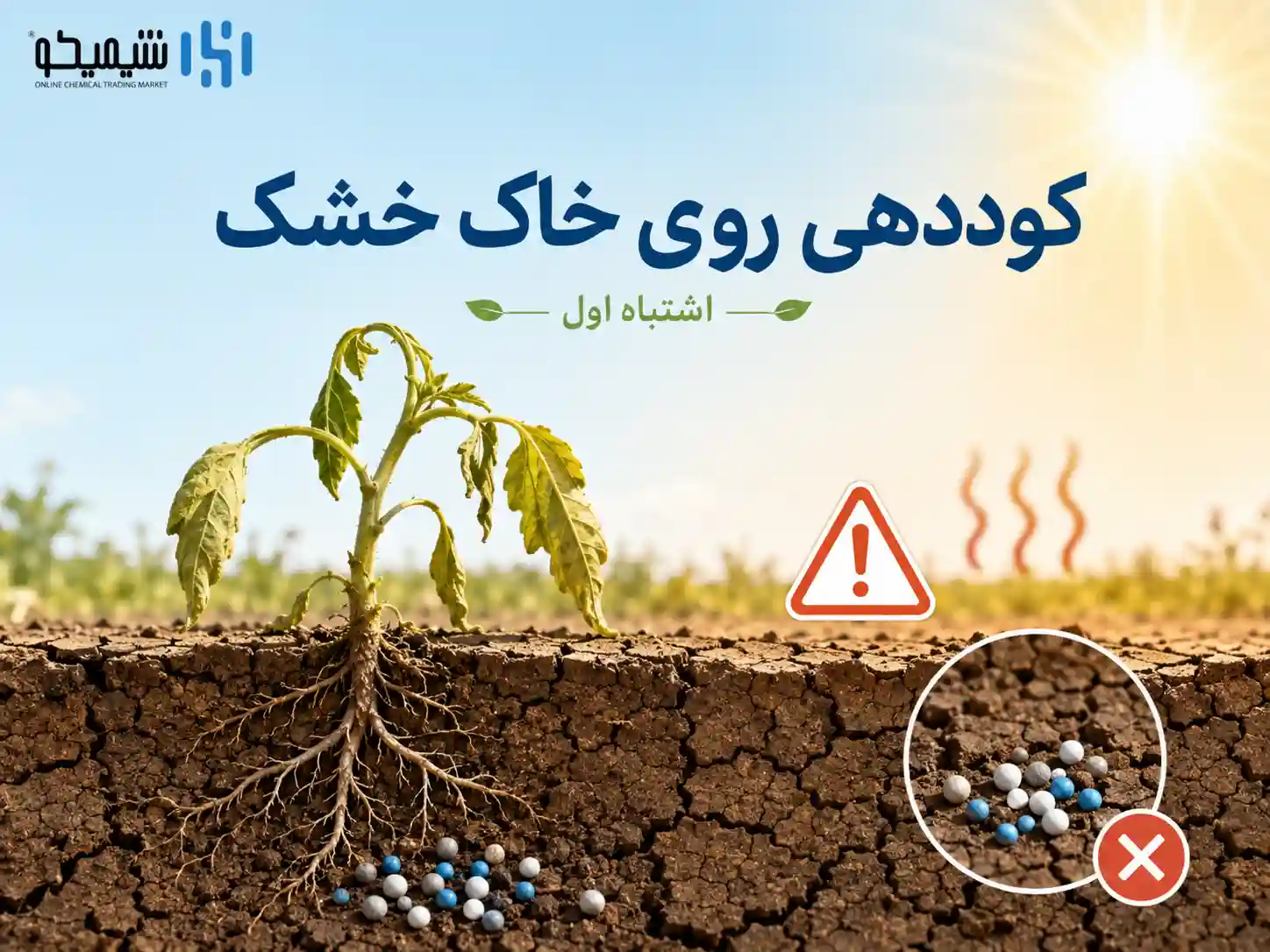 اشتباه اول کوددهی در گرمای شدید: دادن کود به خاک خشک و گیاه تشنه