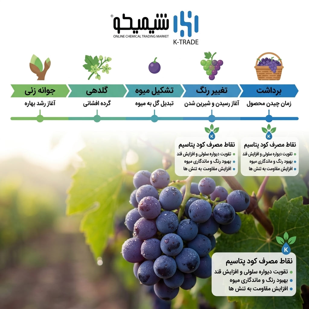 بهترین زمان مصرف کود پتاس برای انگور