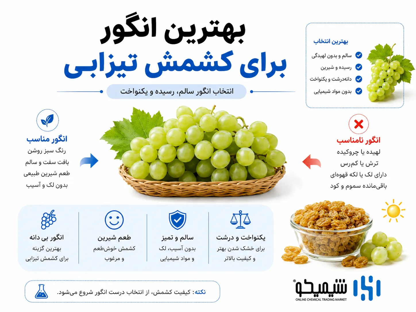 بهترین انگور برای تبدیل انگور به کشمش با کربنات پتاسیم و تیزاب کشمش کدام است؟
