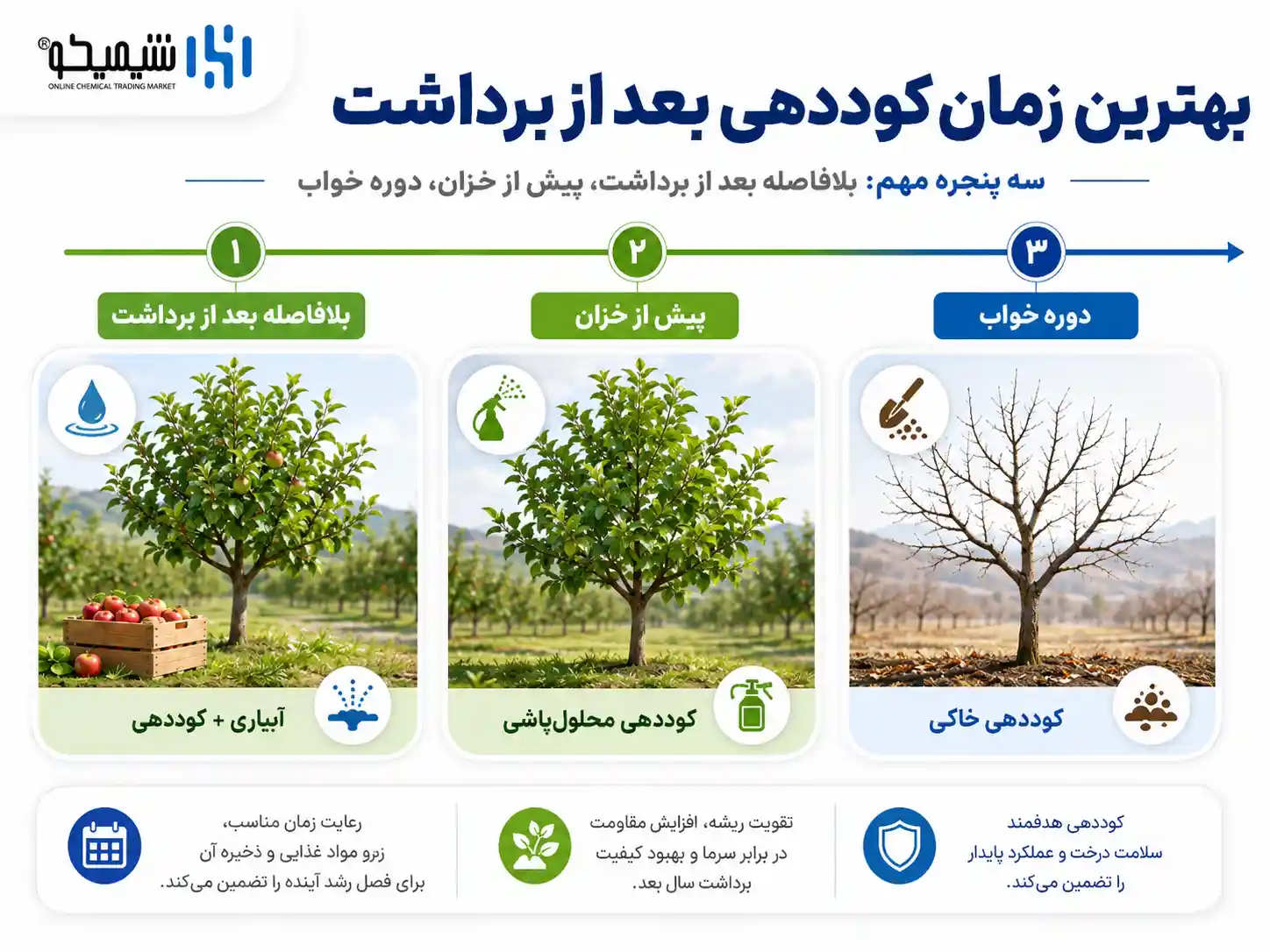 کوددهی بعد از برداشت را از چه زمانی شروع کنیم؟