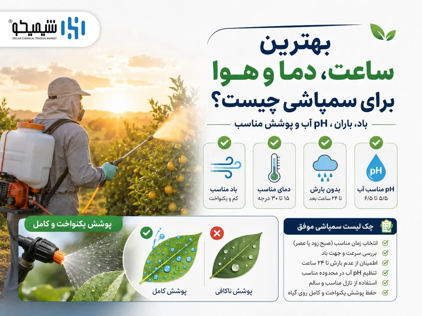 بهترین ساعت، دما و هوا برای سمپاشی تابستانه مرکبات چیست؟