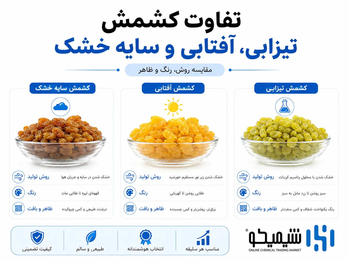 تفاوت کشمش تیزابی، کشمش آفتابی و کشمش سایه خشک در تبدیل انگور به کشمش