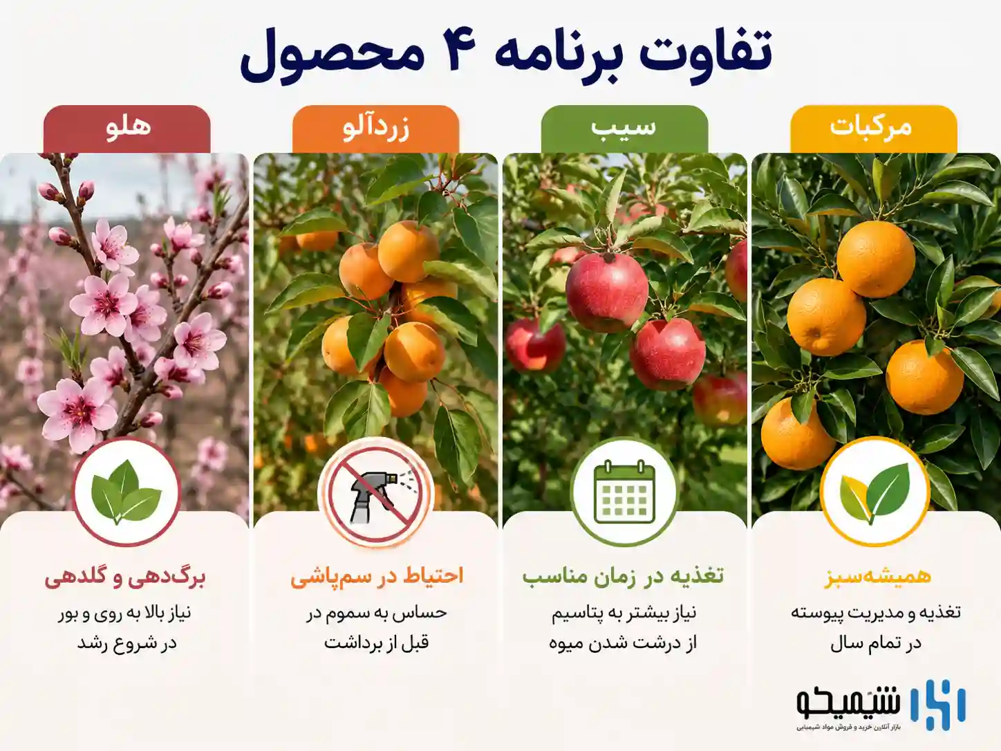 برنامه هلو، زردآلو، سیب و مرکبات چه تفاوتی دارد؟