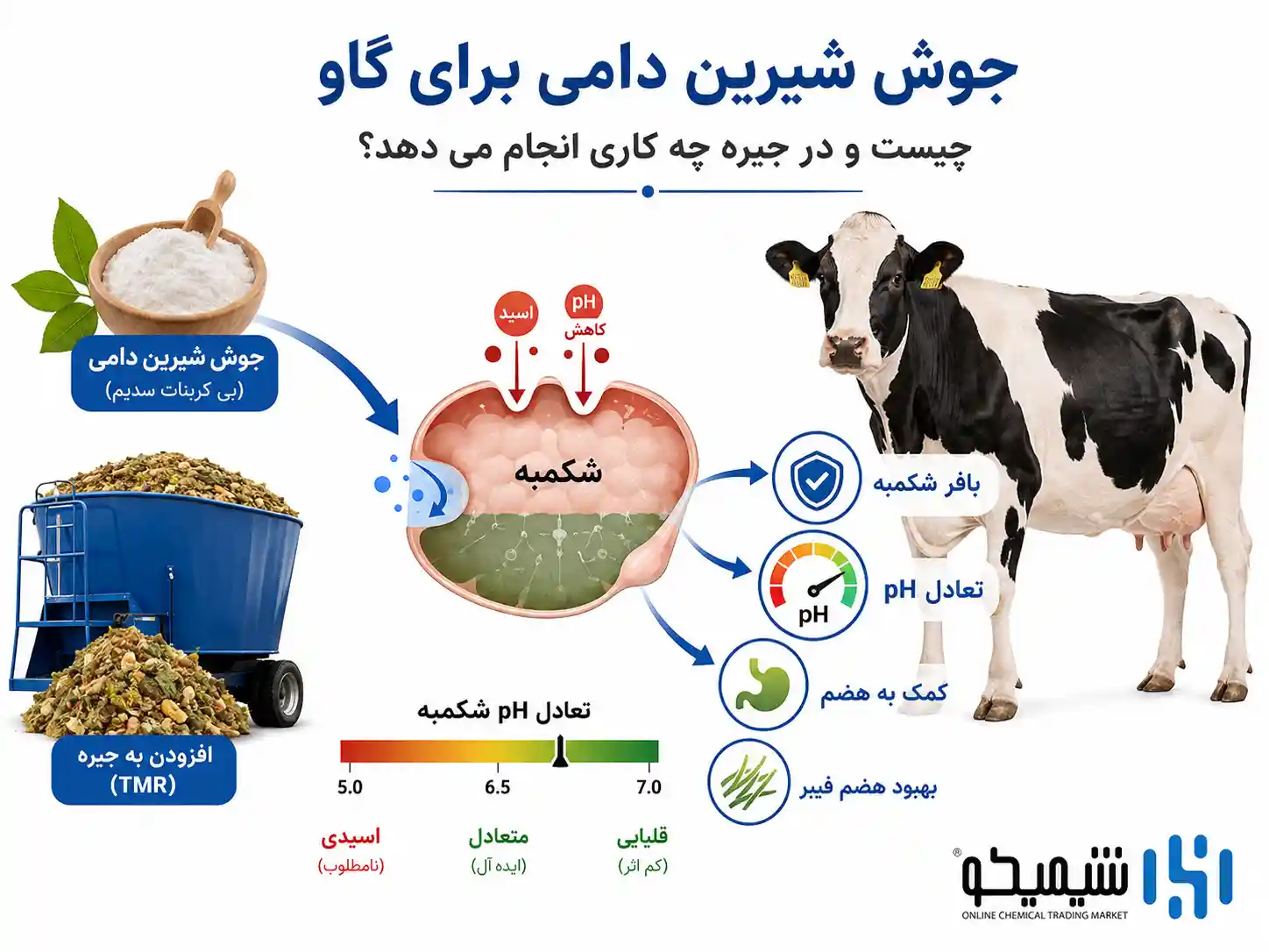 جوش شیرین دامی برای گاو چیست و در جیره چه کاری انجام می دهد؟