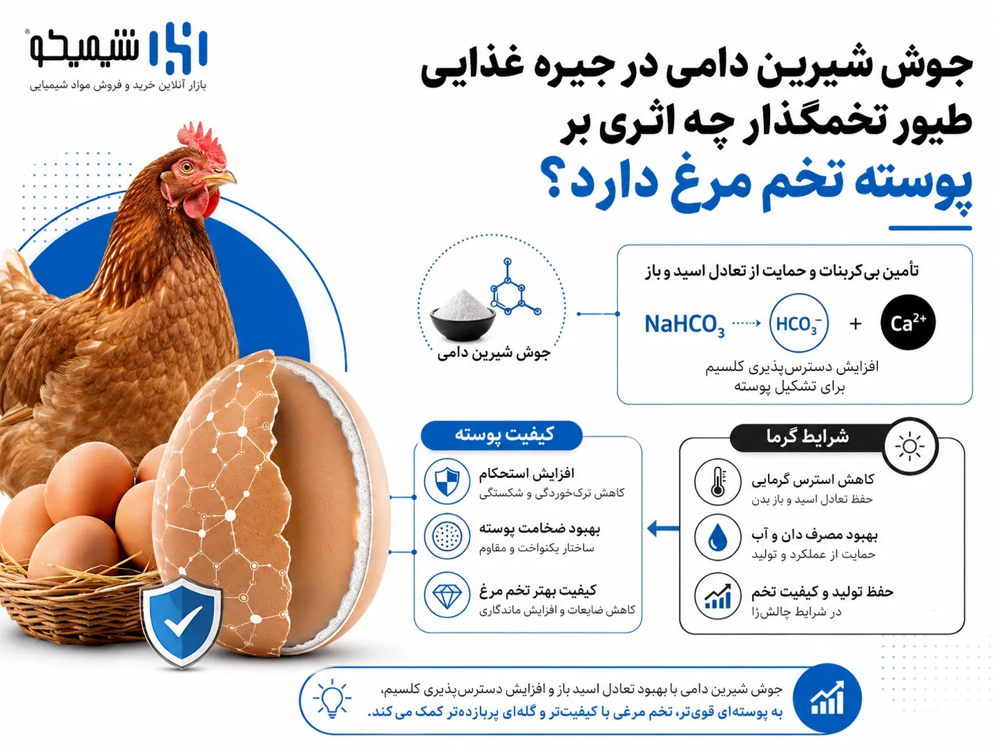 جوش شیرین دامی در جیره غذایی طیور تخمگذار چه اثری بر پوسته تخم مرغ دارد؟