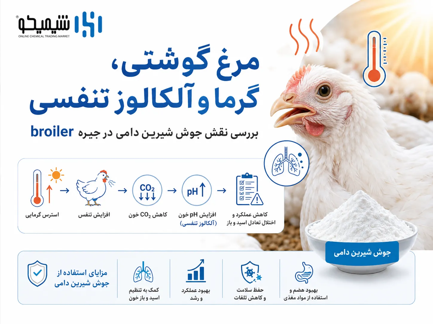 جوش شیرین دامی در جیره مرغ گوشتی در استرس گرمایی و آلکالوز تنفسی چه نقشی دارد؟