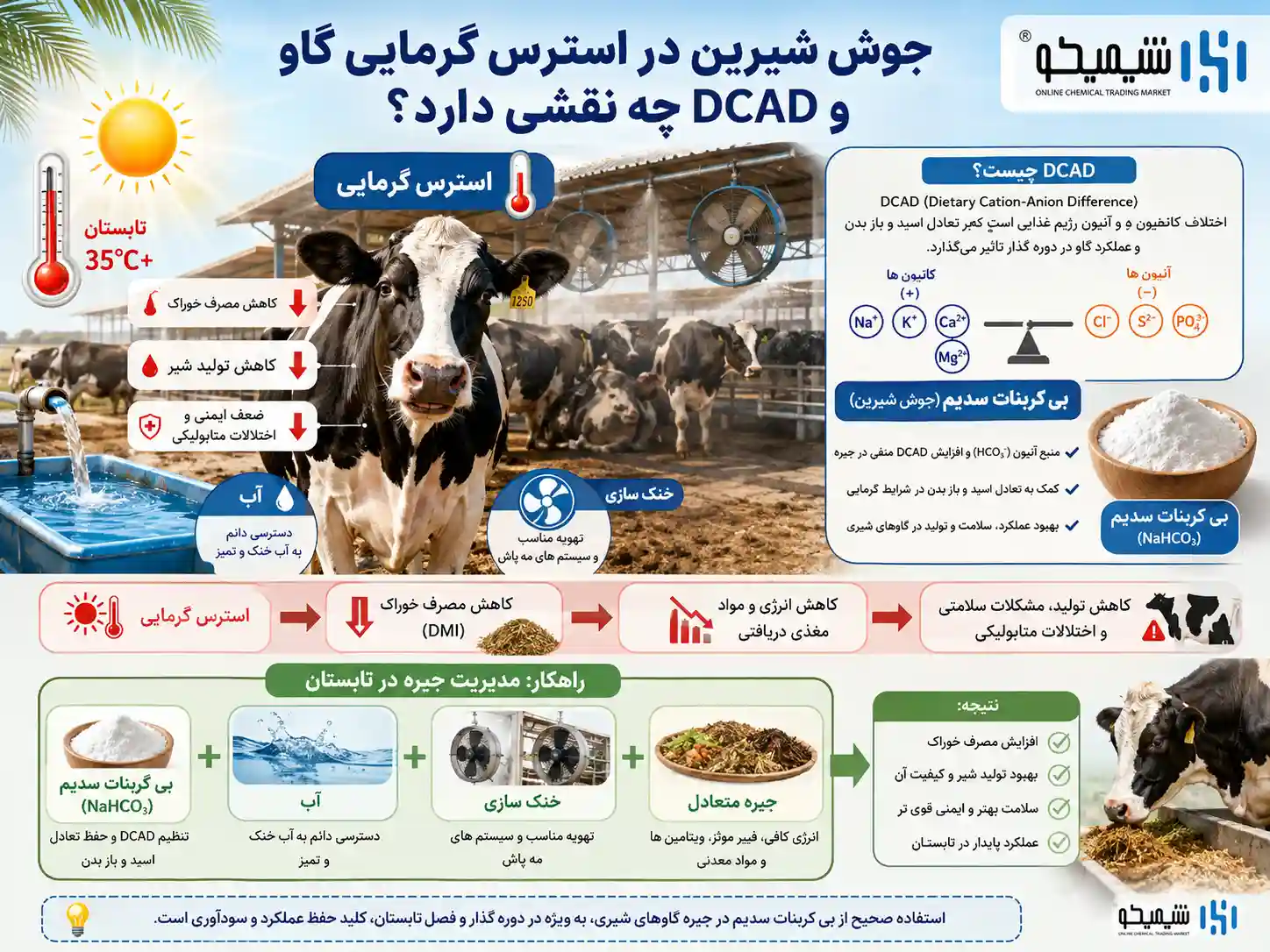 جوش شیرین در استرس گرمایی گاو و DCAD چه نقشی دارد؟