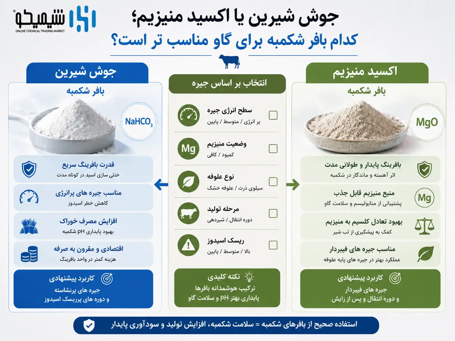 جوش شیرین یا اکسید منیزیم؛ کدام بافر شکمبه برای گاو مناسب تر است؟