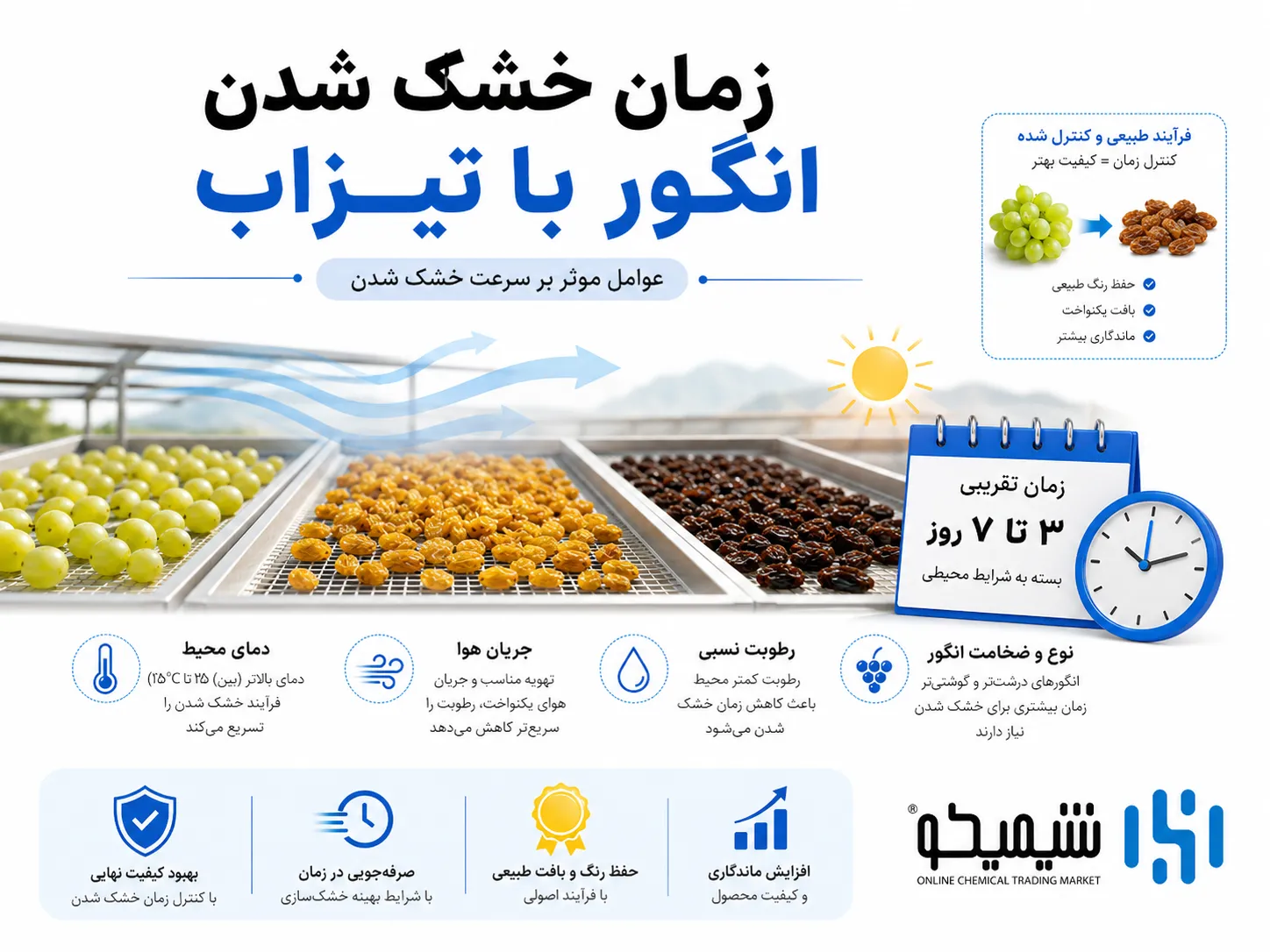 زمان خشک شدن انگور با تیزاب و کربنات پتاسیم چقدر است؟