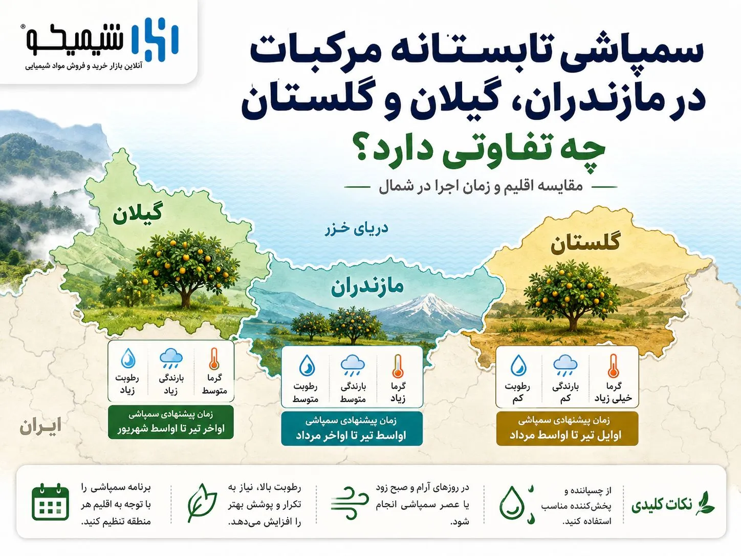 سمپاشی تابستانه مرکبات در مازندران، گیلان و گلستان چه تفاوتی دارد؟