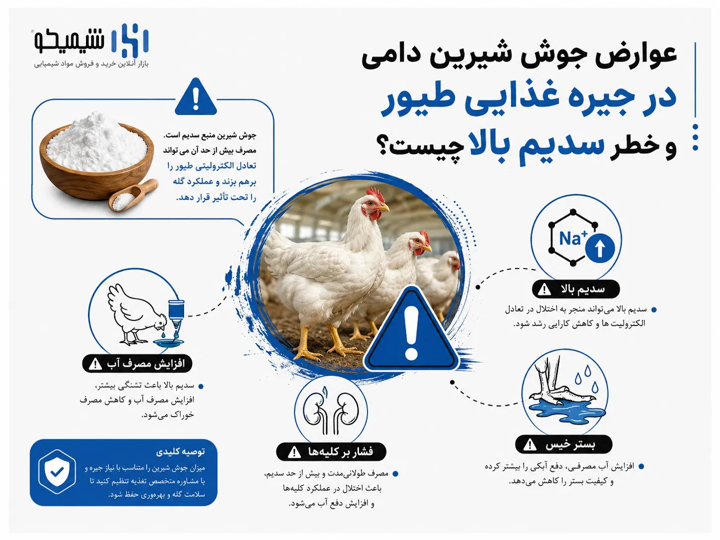 عوارض جوش شیرین دامی در جیره غذایی طیور و خطر سدیم بالا چیست؟