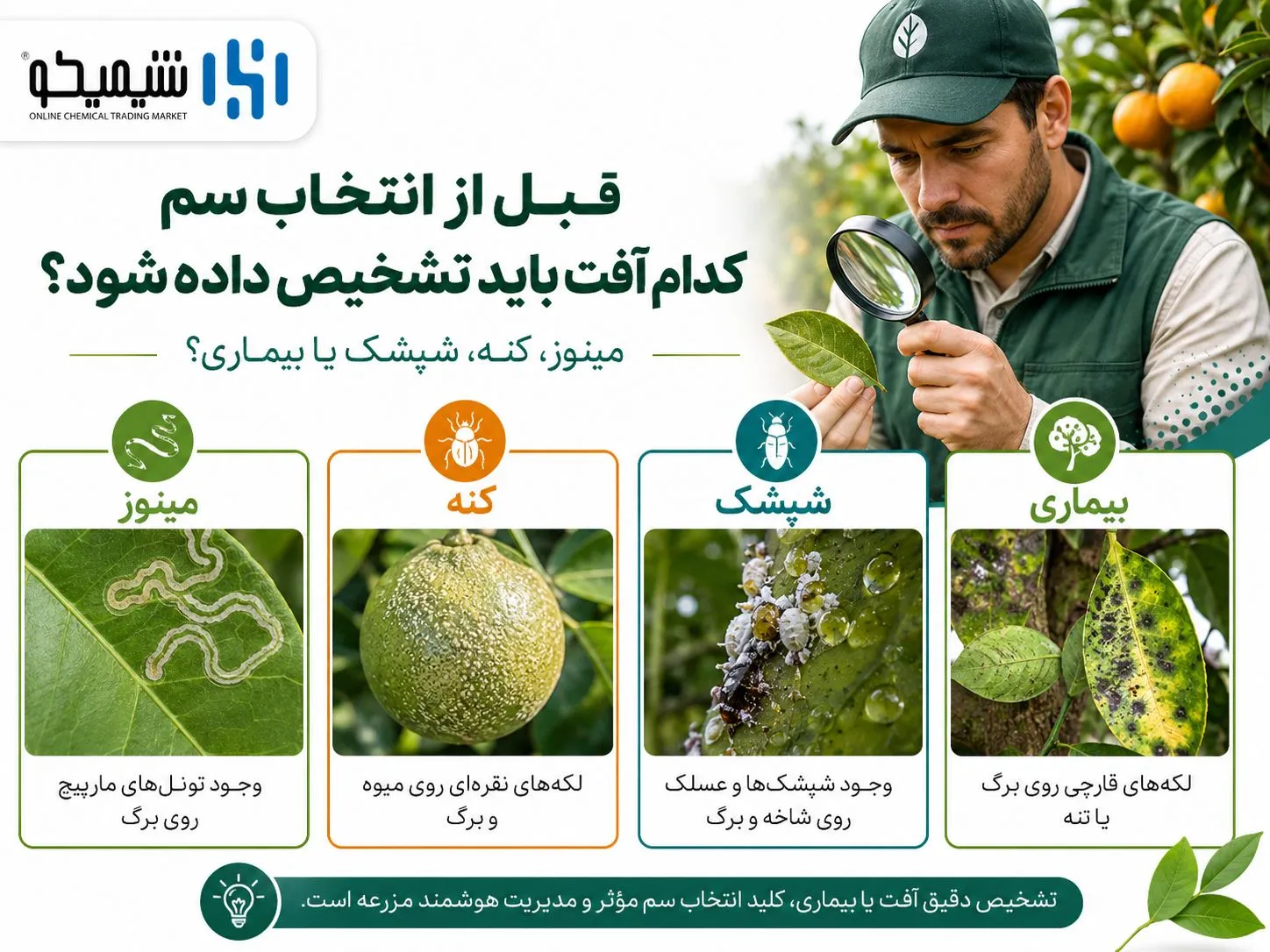 قبل از انتخاب سمپاشی تابستانه مرکبات کدام آفت باید تشخیص داده شود؟