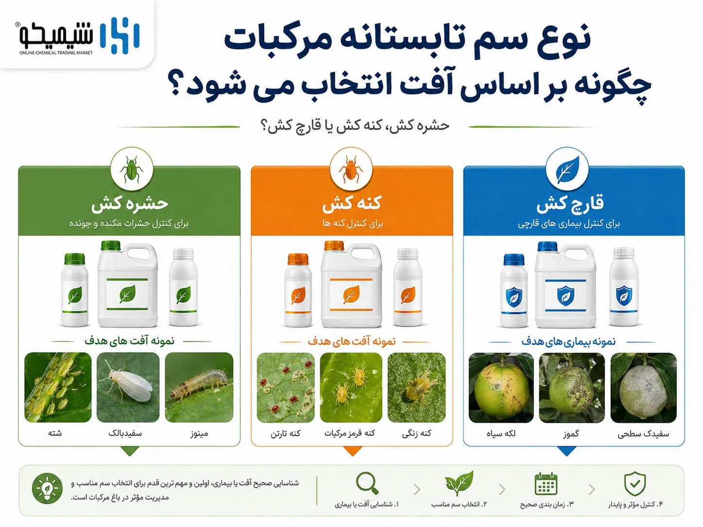 سمپاشی تابستانه مرکبات در شمال در چه ماهی انجام می شود؟