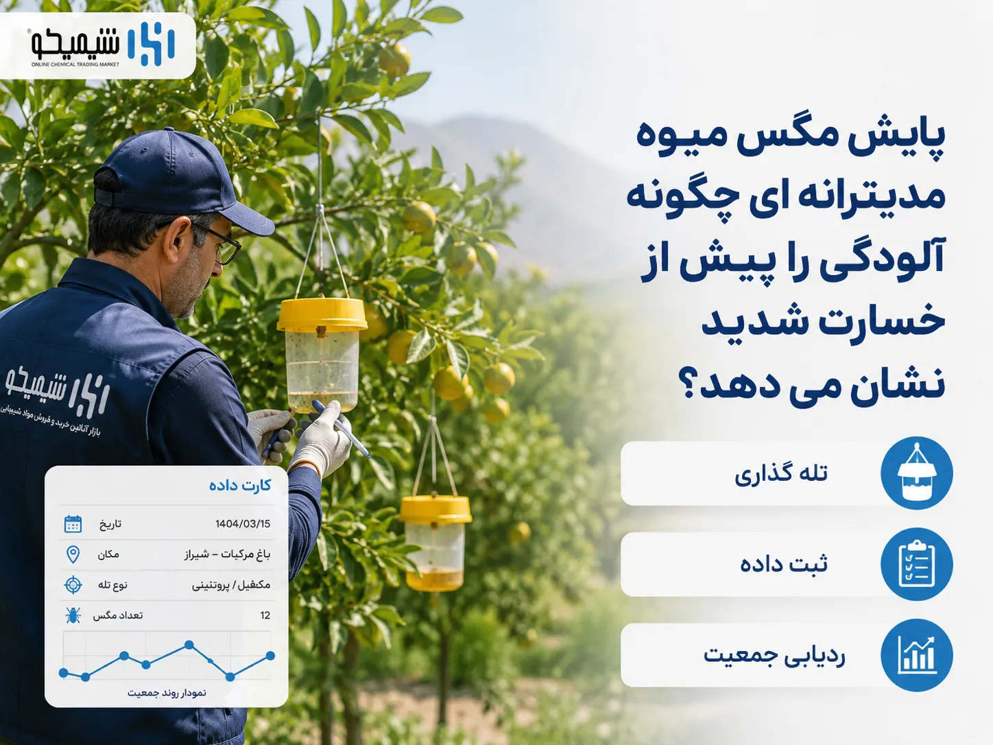 پایش مگس میوه مدیترانه ای چگونه آلودگی را پیش از خسارت شدید نشان می دهد؟