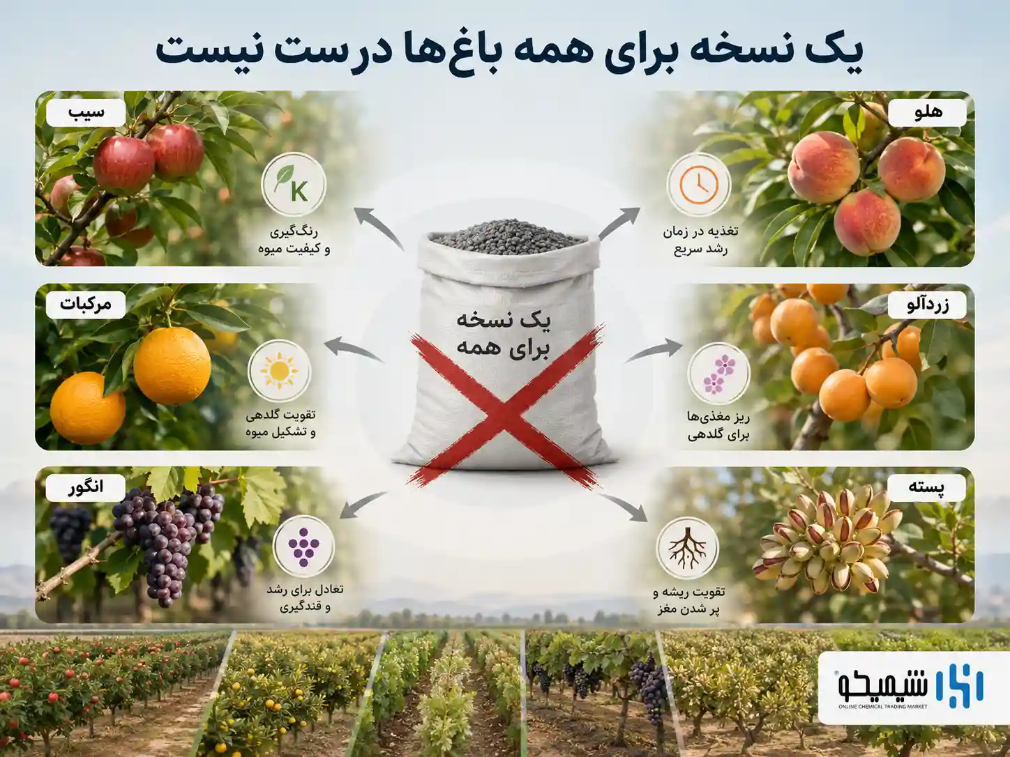 اشتباه رایج در تغذیه باغ پس از برداشت