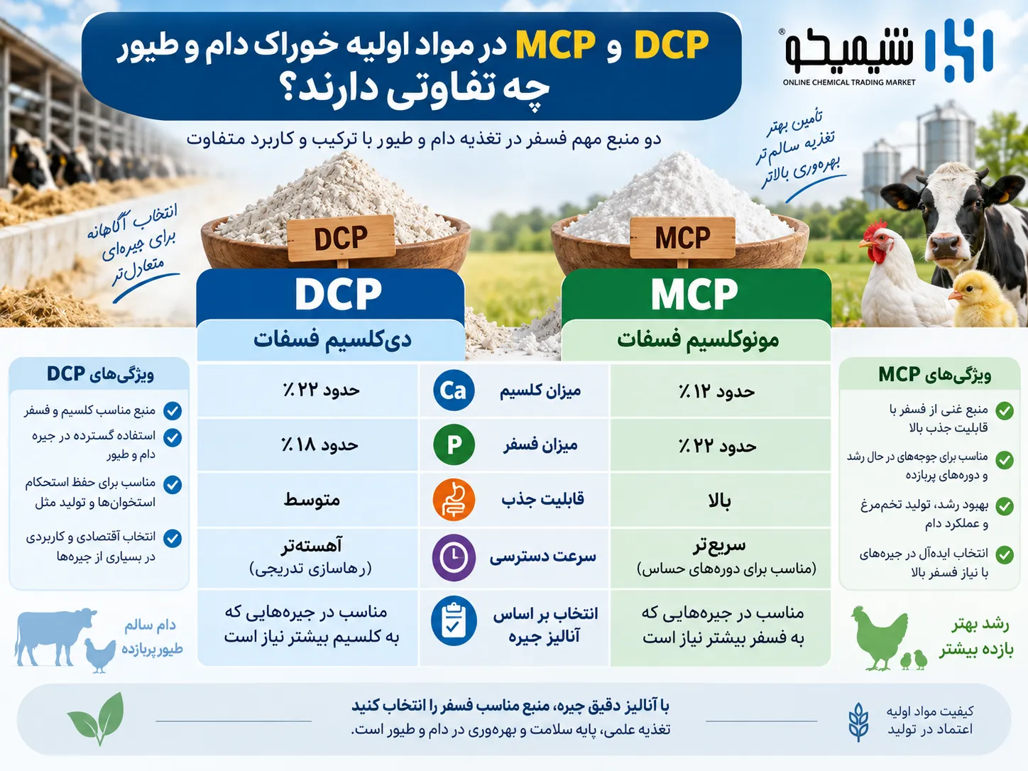 DCP و MCP در مواد اولیه خوراک دام و طیور چه تفاوتی دارند؟