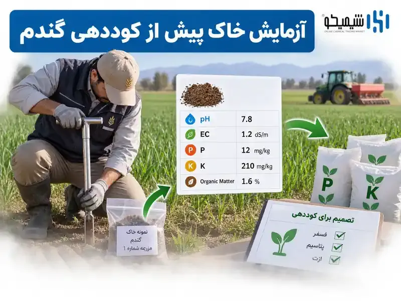 قبل از انتخاب بهترین کود برای کشت پاییزه گندم چه آزمایش هایی لازم است؟