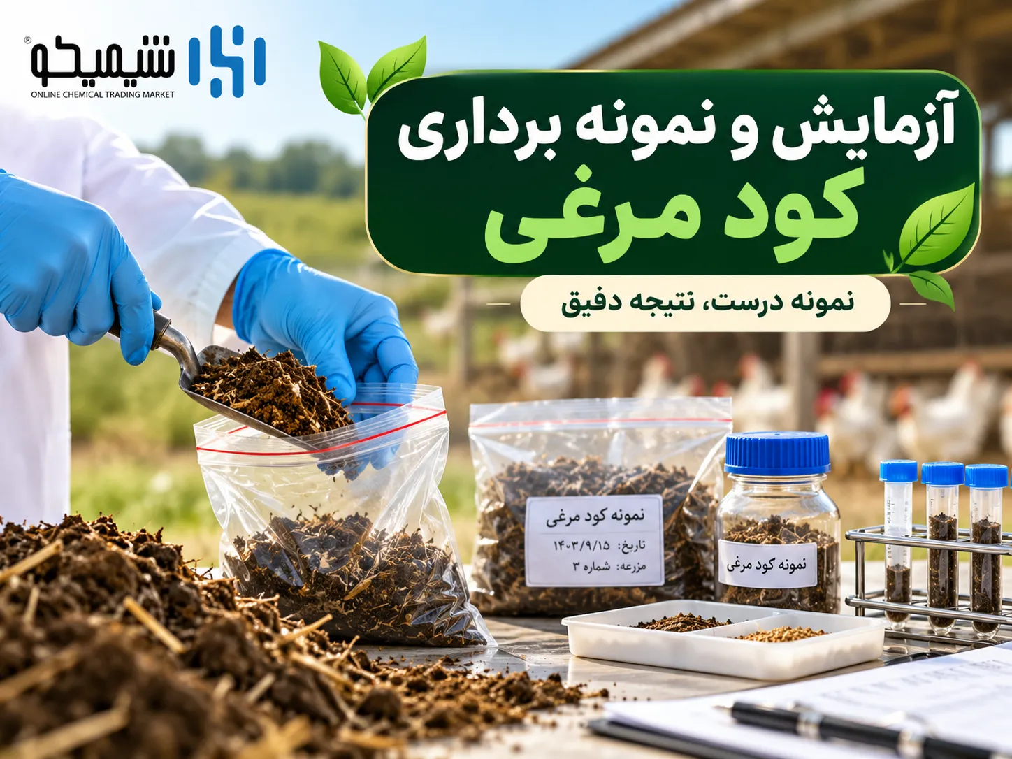 آزمایش و نمونه برداری کود مرغی