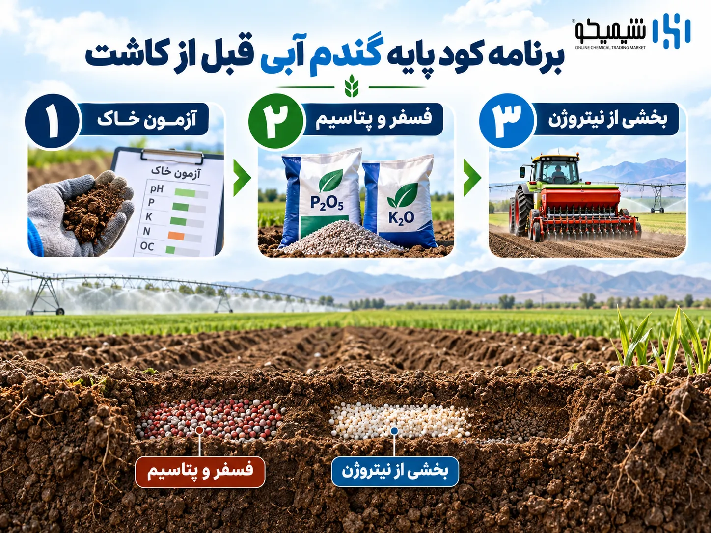 برنامه کود پایه گندم آبی قبل از کاشت