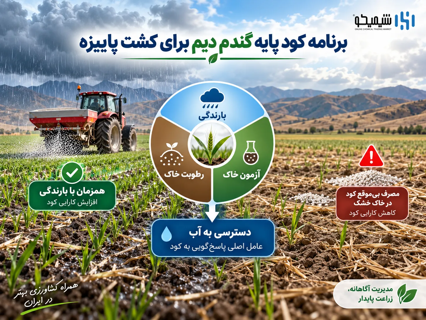 برنامه کود پایه گندم دیم برای کشت پاییزه