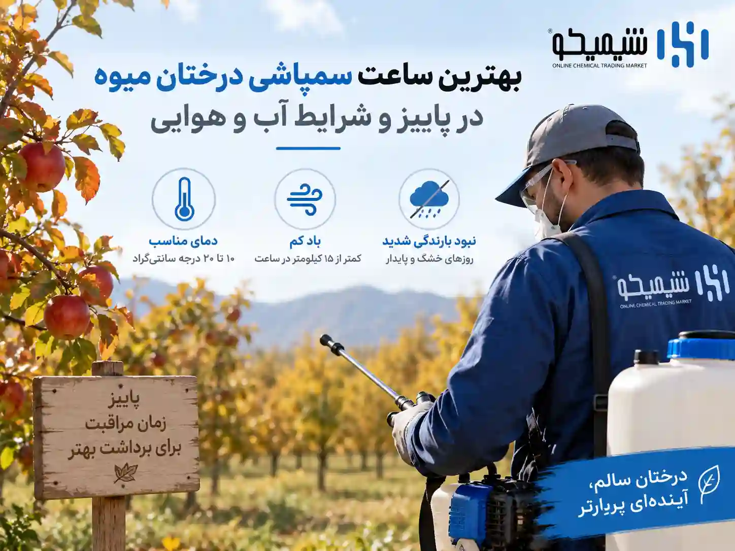 بهترین ساعت سمپاشی درختان میوه در پاییز و شرایط آب و هوایی