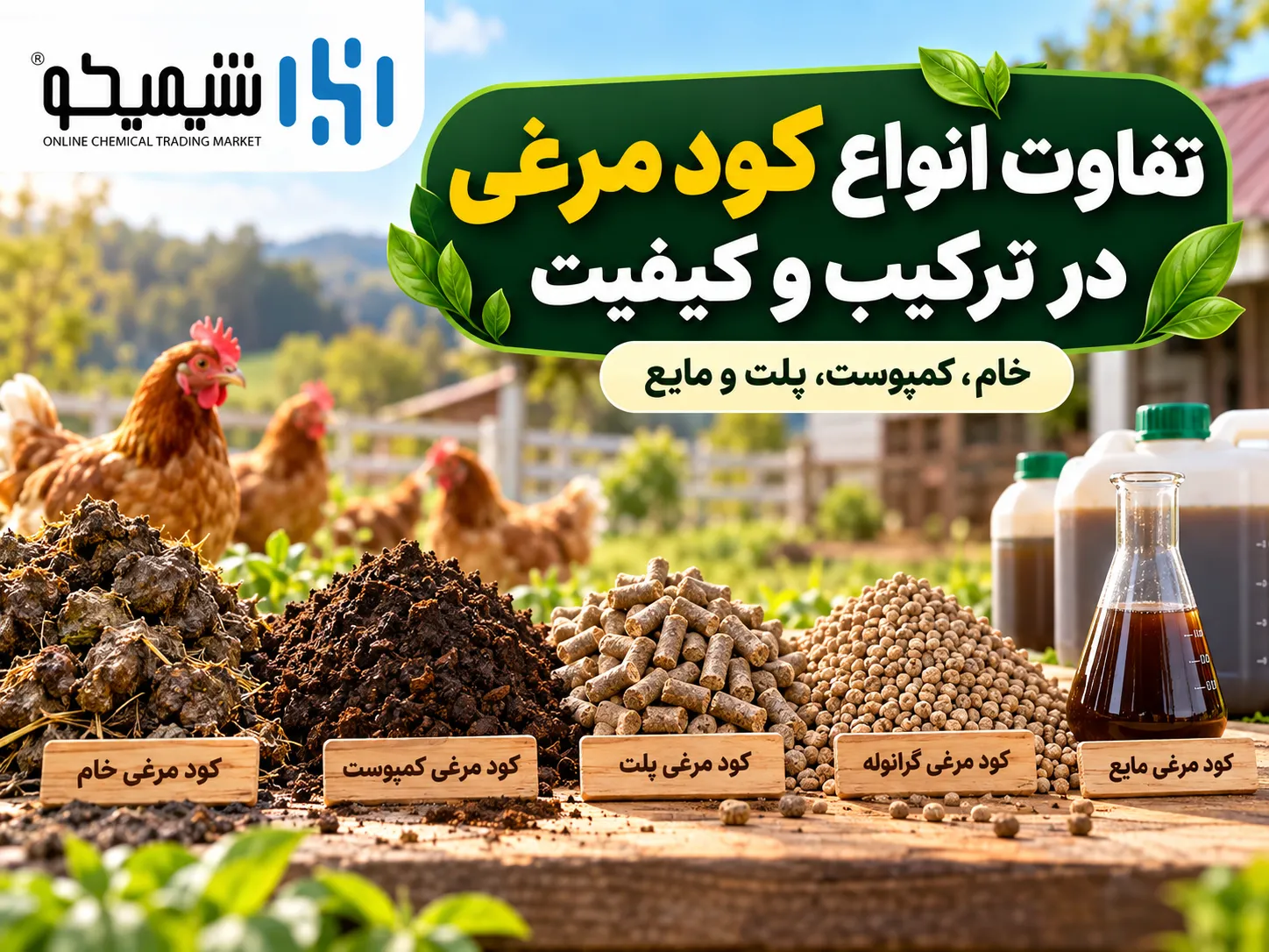 تفاوت انواع کود مرغی در ترکیب و کیفیت