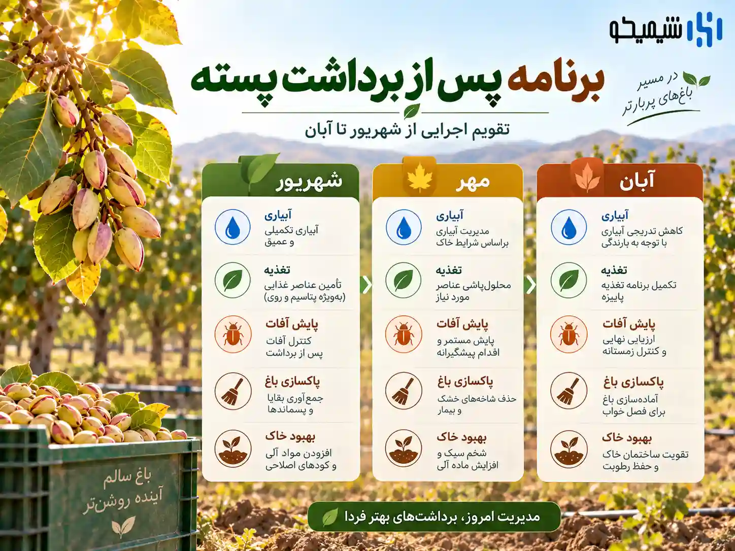 جدول برنامه عملیات پس از برداشت پسته از شهریور تا آبان