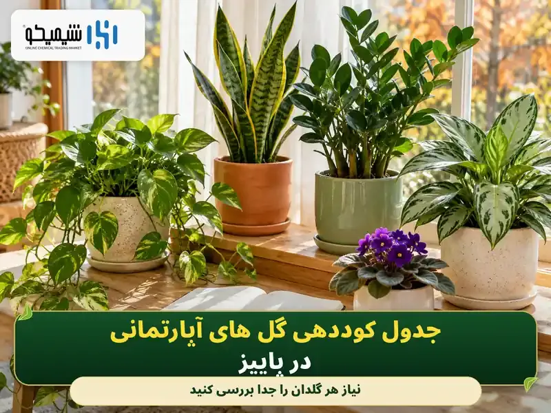 جدول کوددهی گل های آپارتمانی در پاییز