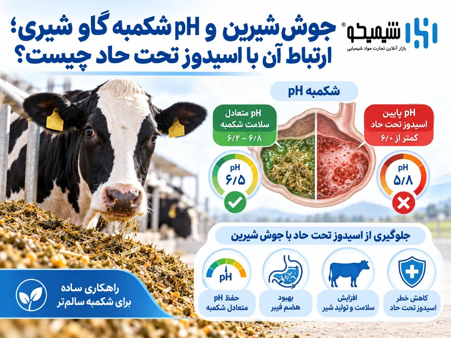 جوش شیرین و pH شکمبه گاو شیری؛ ارتباط آن با اسیدوز تحت حاد چیست؟