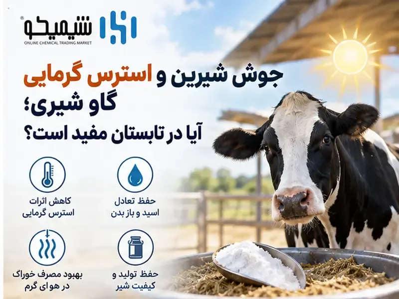 جوش شیرین و استرس گرمایی گاو شیری؛ آیا در تابستان مفید است؟