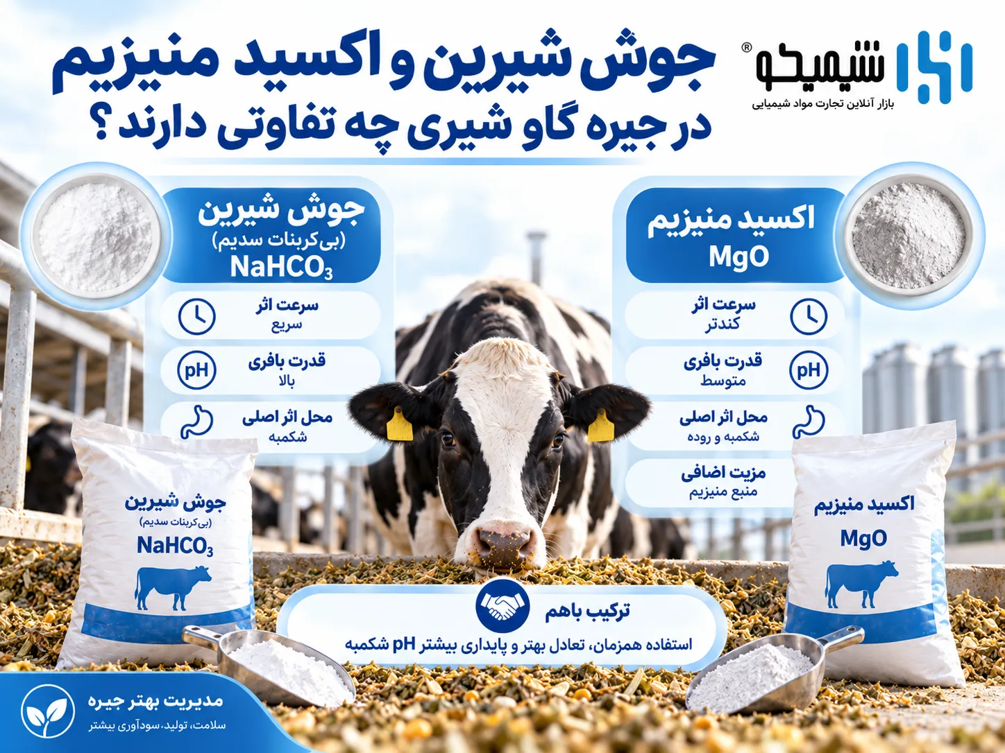 جوش شیرین و اکسید منیزیم در جیره گاو شیری چه تفاوتی دارند؟