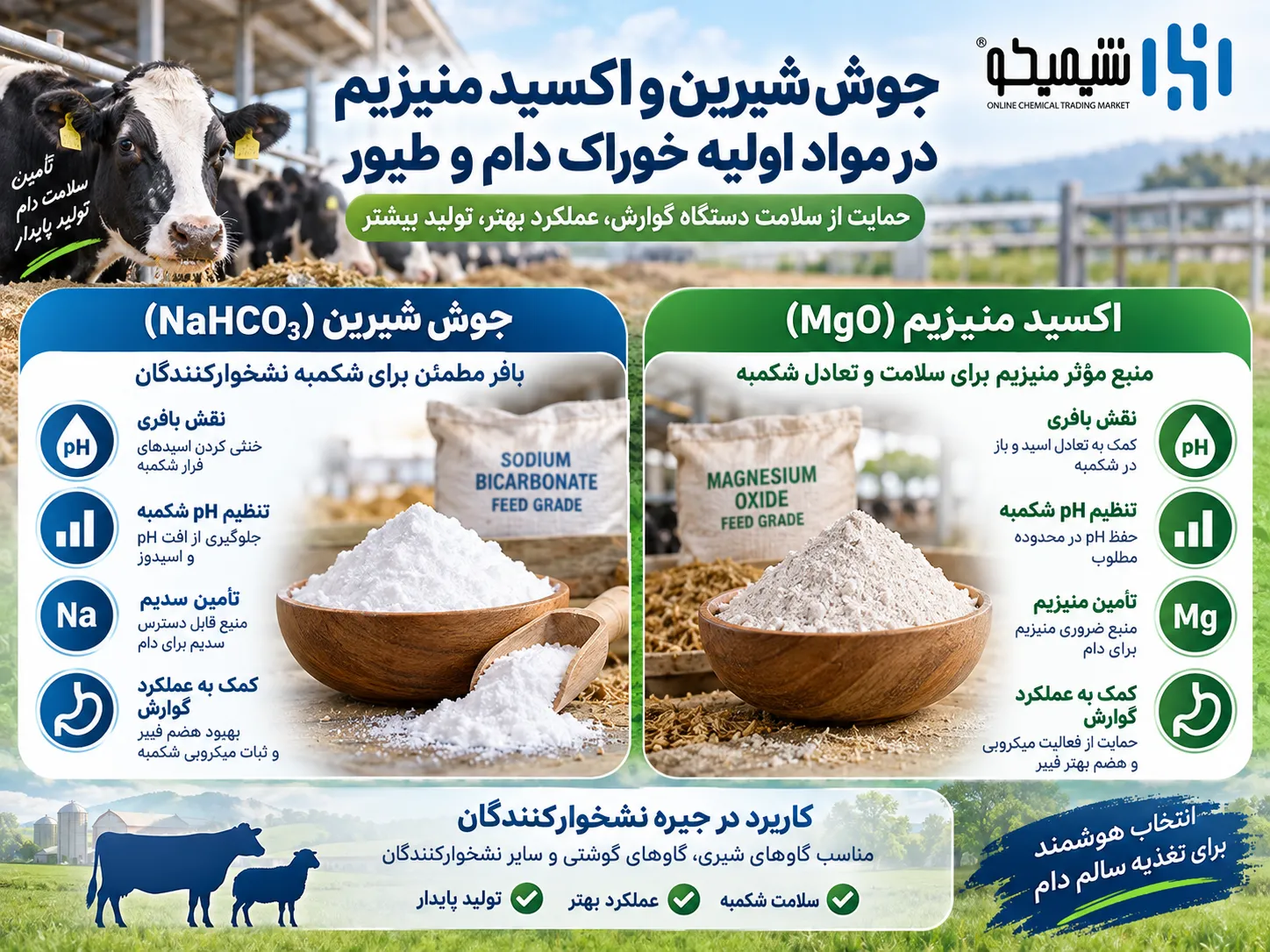 جوش شیرین و اکسید منیزیم در مواد اولیه خوراک دام و طیور