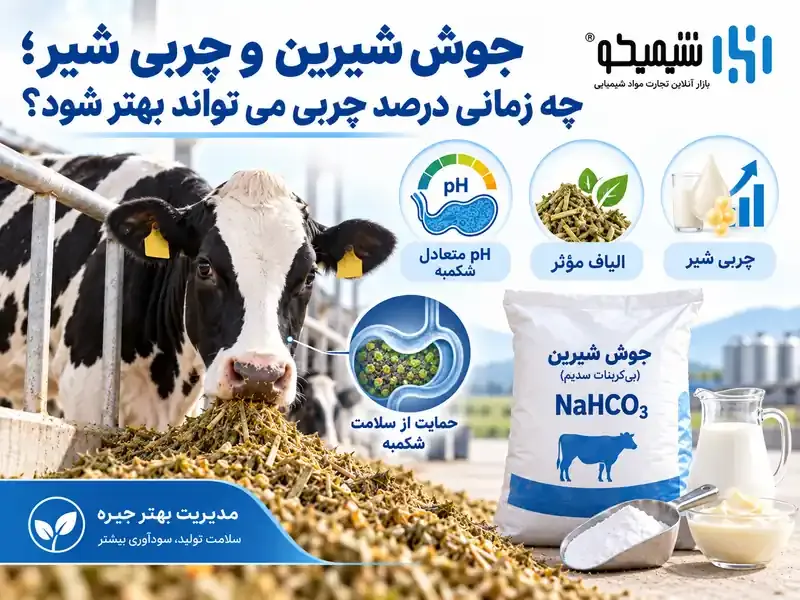 جوش شیرین و چربی شیر؛ چه زمانی درصد چربی می تواند بهتر شود؟